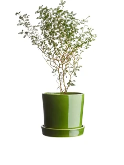 Stoneware Pot 18 Cm